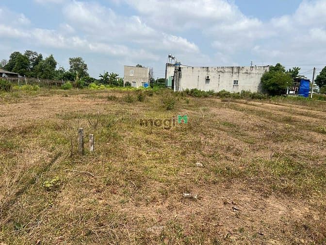 Hình ảnh BÁN GẤP đất thổ Phú Thạnh Nhơn Trạch vành đai 3,oto,giá rẻ 4,5tr/m,SHR