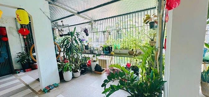 Hình ảnh 🌟HOA HẬU! Chỉ 4,13 tỷ tập thể Trung Tự_Đống Đa_2 ban công_70m2 2pn nh