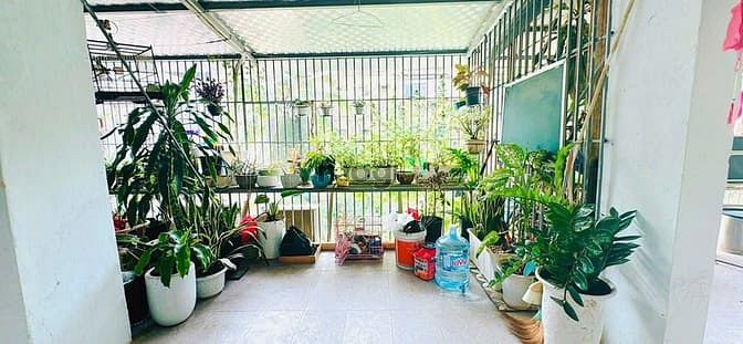 Hình ảnh 🌟HOA HẬU! Chỉ 4,13 tỷ tập thể Trung Tự_Đống Đa_2 ban công_70m2 2pn nh