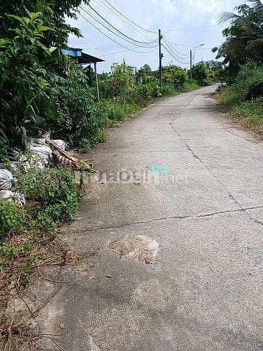 Hình ảnh Bán đất DT 2749 m2 mặt tiền đường 711 ấp Vân Hàn, xã Trung Lập Thượng