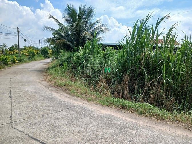 Hình ảnh Bán đất DT 2749 m2 mặt tiền đường 711 ấp Vân Hàn, xã Trung Lập Thượng