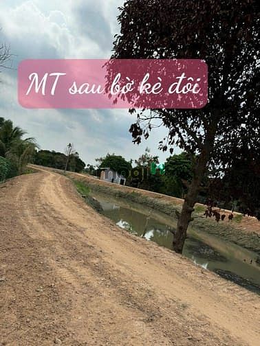 Hình ảnh Chính chủ bán gấp đất vườn 2 mặt tiền, đường Đê Sông Sài Gòn, TP.HCM