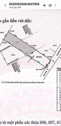 Hình ảnh Bán đất 500m2 đường 197 Hoàng Hữu Nam, Quận 9 - DT : 9.6m x 50m