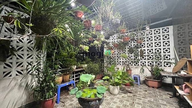 Hình ảnh 💥P.Lô Vỉa Hè Chính Trung - Trâu Quỳ 4 Tầng*100m Biệt Thự Vừa Ở+ KD