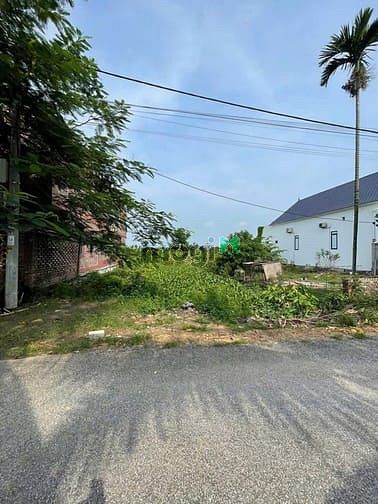 Hình ảnh Siêu phẩm view sông đa độ – cẩm hoàn, thanh sơn – 125m², đường 11m