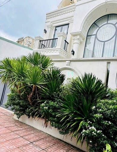 Hình ảnh Cho Thuê Biệt thự full nội thất KDC  D2D, Võ Thị Sáu