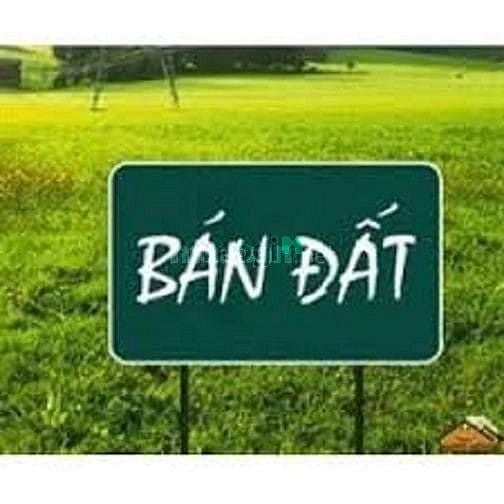 Hình ảnh Thanh lý lô đất Phường Tân Mai, TP.Biên Hòa, Đồng Nai
