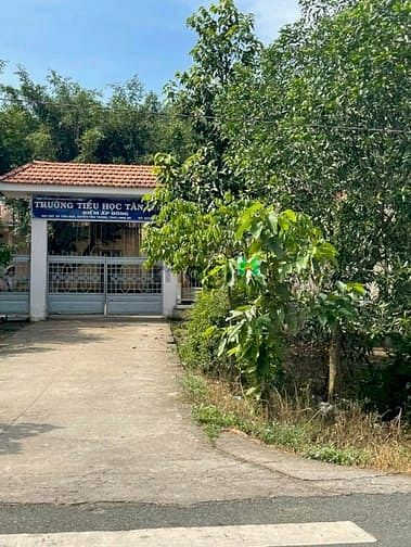Hình ảnh Bán Đất 1696M2 Có 139M2 Thổ,19Mx89M,Mặt Tiền ĐT829 Tân Thạnh Long An