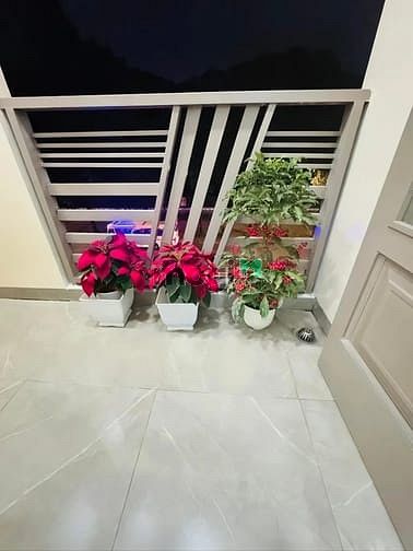 Hình ảnh [Quận 3] Bán Nhà Mặt Tiền Kinh Doanh 5 Tầng Thang Máy Lý Thái Tổ 25 Tỷ
