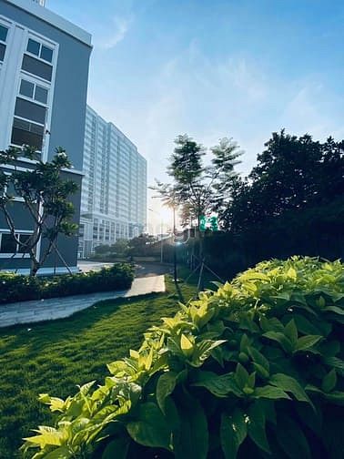 Hình ảnh Cho thuê Trang Chủ MB66.COM / Đăng Ký Tặng 66K Moonlight Boulevard 2PN 2WC 80m GIÁ 10tr/THÁNG