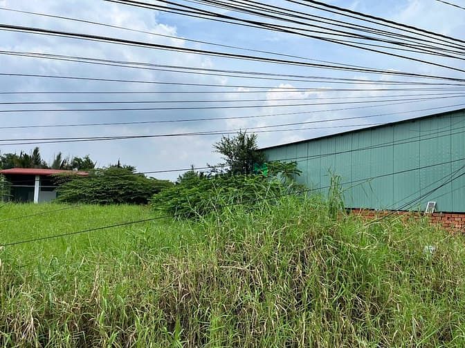 Hình ảnh Chính Chủ Gửi Bán Lô Đất Mặt Tiền QL50 củ Thuộc Ấp Trí Đồ, Tiền Giang
