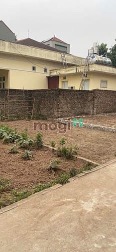 Hình ảnh Chuyển nhượng 40m đất thọ an, đan phượng, hà nội. sát nhà văn hóa,