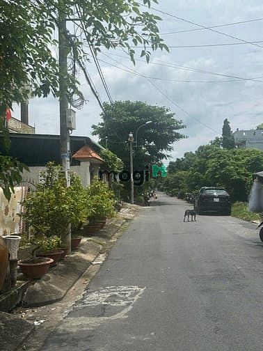 Hình ảnh Bán đất đẹp cần giờ đường rộng 10 m giá 24,2 triệu/1 m2