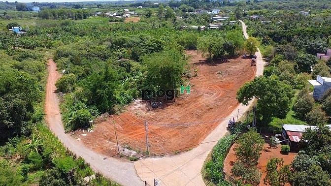 Hình ảnh Đất Thổ Cư Sổ Riêng Giá Rẻ Gần KCN Mặt Tiền Bê Tông