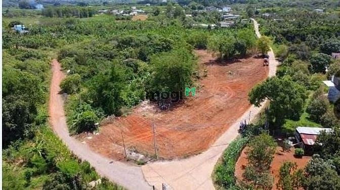 Hình ảnh Đất Sổ Riêng Thổ Cư Ở Gần Đường TL 769. Giá 440Tr.