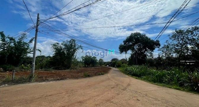 Hình ảnh Đất Sổ Riêng Thổ Cư Ở Gần Đường TL 769. Giá 440Tr.
