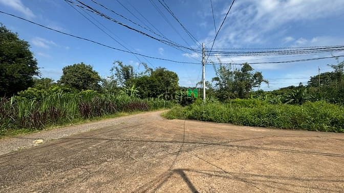 Hình ảnh Đất Xây Biệt Thự Giá Cực Rẻ gần KCN Lớn Nhất Đồng Nai