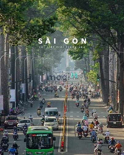 Hình ảnh Chủ hạ 5 tỷ cần bán gấp mặt tiền Lý Thái Tổ, 4x20m, 4 tầng, lề 7m, Q10
