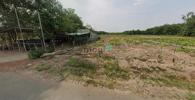 Hình ảnh Bán đất 270m2 sở hữu ngay với giá 530 triệu tại xã Tân Hiệp mặt tiền đ