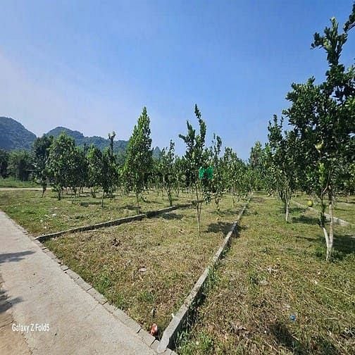 Hình ảnh Bán đất nền dự án tại Xã Bảo Hiệu, Yên Thủy, Hòa Bình 148m2