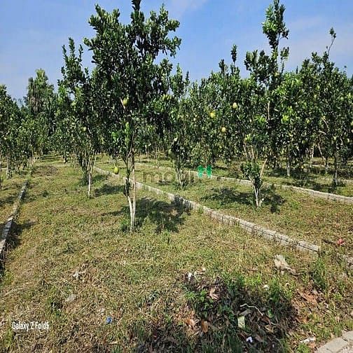 Hình ảnh Bán đất nền dự án tại Xã Bảo Hiệu, Yên Thủy, Hòa Bình 148m2