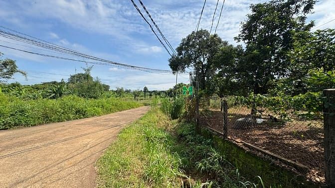 Hình ảnh Lô đất dài thòng lòng có thổ cư tha hồ xây nhà phía sau giáp Suối