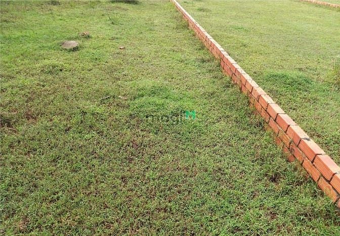 Hình ảnh Cần cho thuê đất 7x26m 6tr/th đường 711 (Gần C. cư Jamila Khang Điền)