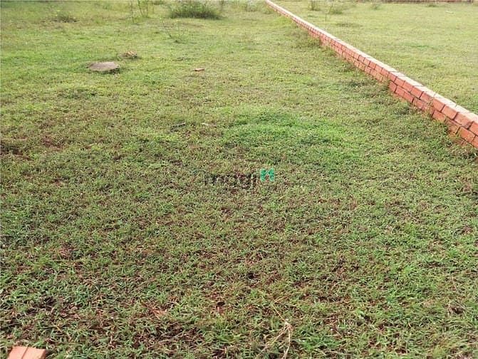 Hình ảnh Cần cho thuê đất 7x26m 6tr/th đường 711 (Gần C. cư Jamila Khang Điền)