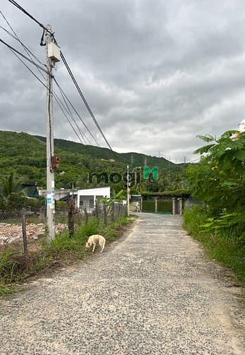 Hình ảnh 🏝️ Bán đất Nha Trang Vĩnh Lương – Vị trí vàng cho Trang MB66.COM Chính Thức - MB 66 Uy Tín và an cư! 🏡