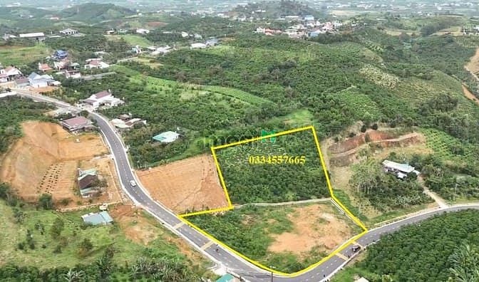 Hình ảnh 6 sào thổ cư Bảo Lộc, đường nhựa đẹp, giá rẻ