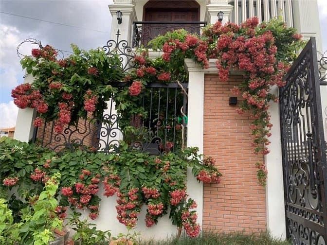 Hình ảnh Chỉ 25 tỷ ❌ Bán Nhà phố đẹp có hầm Thạnh Mỹ Lợi DT 129.5m2 sổ hồng.