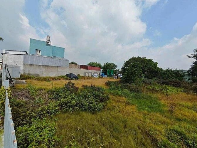 Hình ảnh Đất thổ cư sạch đẹp 5x30m – Xuân Thới Sơn, Hóc Môn, 4.2 tỷ