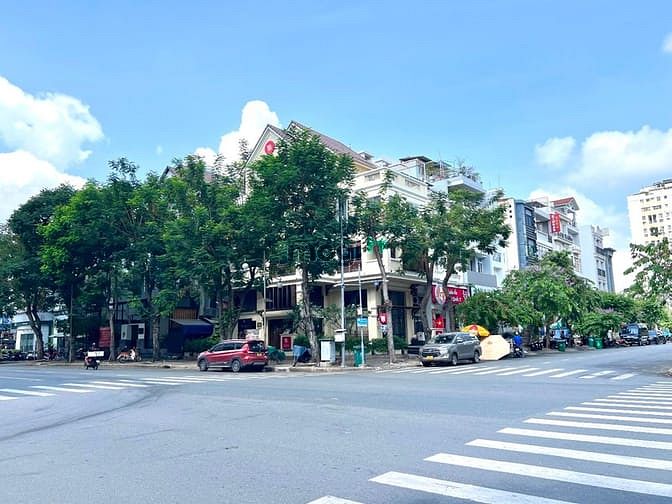 Hình ảnh NHÀ PHỐ GÓC ĐƯỜNG BÙI BẰNG ĐOÀN, khu phố Hưng Phước 4 giá thuê rẻ