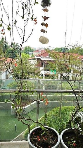 Hình ảnh Bán giá rẻ nhất thị trường Hưng Phúc - 79m2, 2pn, 2wc, 7,2tỷ