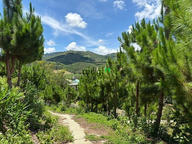 Hình ảnh 6000m² đất QH thổ cư mặt tiền B'Lao Xê Rê, view 360, khu dân cư