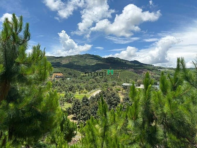 Hình ảnh 6000m² đất QH thổ cư mặt tiền B'Lao Xê Rê, view 360, khu dân cư