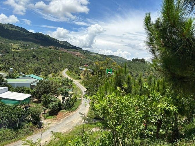 Hình ảnh 6000m² đất QH thổ cư mặt tiền B'Lao Xê Rê, view 360, khu dân cư