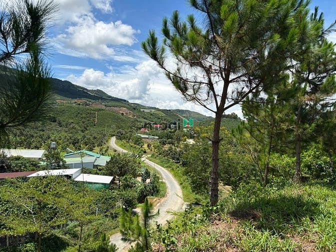 Hình ảnh 6000m² đất QH thổ cư mặt tiền B'Lao Xê Rê, view 360, khu dân cư