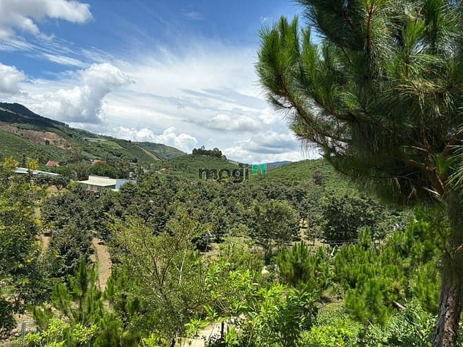 Hình ảnh 6000m² đất QH thổ cư mặt tiền B'Lao Xê Rê, view 360, khu dân cư