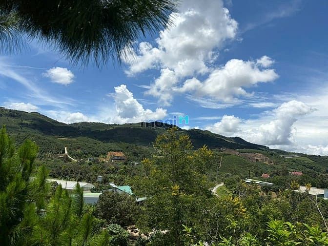 Hình ảnh 6000m² đất QH thổ cư mặt tiền B'Lao Xê Rê, view 360, khu dân cư