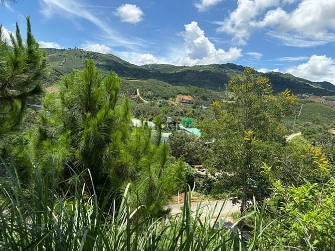 Hình ảnh 6000m² đất QH thổ cư mặt tiền B'Lao Xê Rê, view 360, khu dân cư