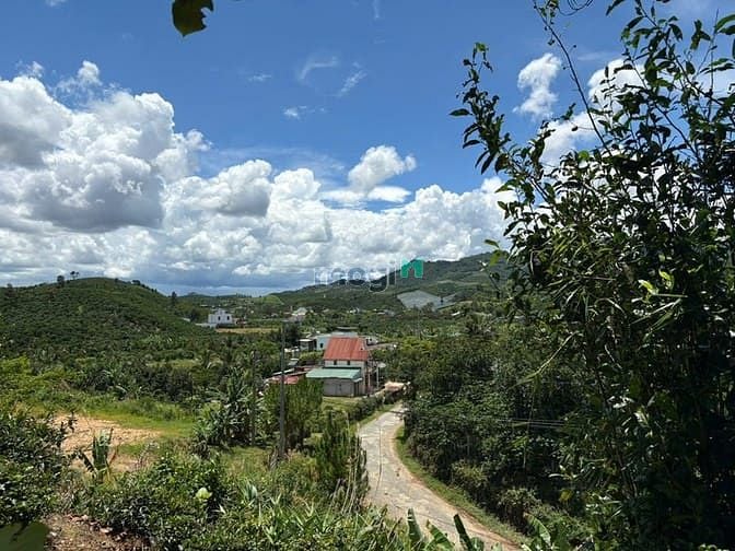 Hình ảnh 6000m² đất QH thổ cư mặt tiền B'Lao Xê Rê, view 360, khu dân cư