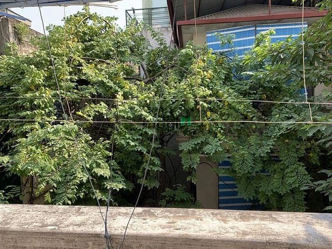 Hình ảnh Bán đất phố Láng Hạ, 218m2 mặt tiền 14m, giá 32 tỷ, ngõ ô tô kinh doan