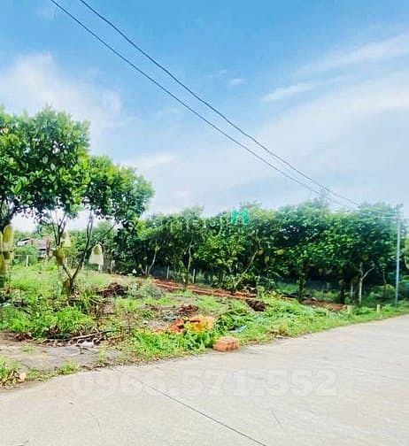 Hình ảnh Bán Đất Thổ Cư, 1 Sẹc Đường Hàm Nghi, P Bảo Vinh, Đồng Nai, Giá 870tr