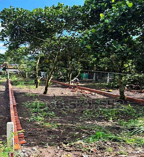 Hình ảnh Bán Đất Thổ Cư, 1 Sẹc Đường Hàm Nghi, P Bảo Vinh, Đồng Nai, Giá 870tr