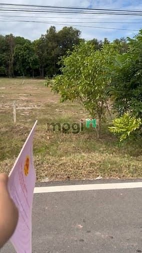 Hình ảnh Bán Đất Mặt Tiền Đường Đt795, Xã Tân Thành, Huyện Tân Châu, Tây Ninh