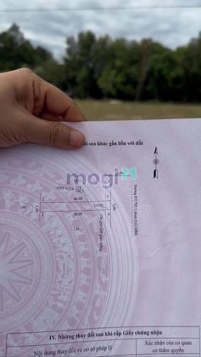Hình ảnh Bán Đất Mặt Tiền Đường Đt795, Xã Tân Thành, Huyện Tân Châu, Tây Ninh