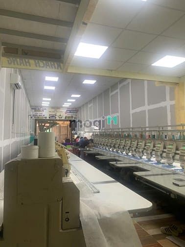Hình ảnh Cần Cho Thuê TX22 Q.12  DT: 5mx31m có : gác lửng,  Điên 3 pha Giá 10tr