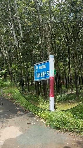 Hình ảnh Bán Gấp Lô Góc 2 Mặt Tiền Đường Tân Hiệp 22, Xã Phước Thành, Tp.Hcm