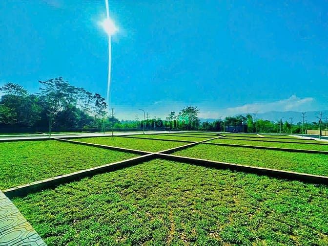 Hình ảnh Bán gấp 100m2 full thổ cư tại Phú Cát - Quốc Oai - Hà Nội